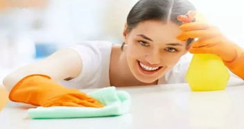 家政服务的品质之选 深度解析好佣来菲佣的显著优势